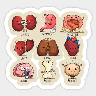 Organs Sticker